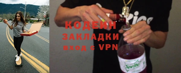 дурь Инта