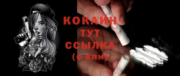 дурь Инта