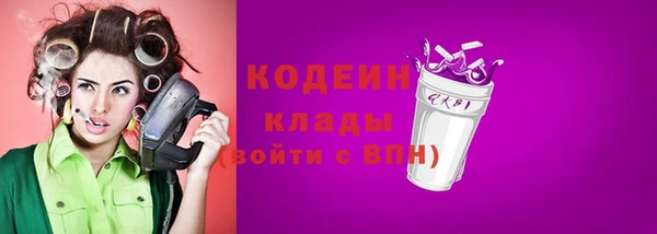 дурь Инта